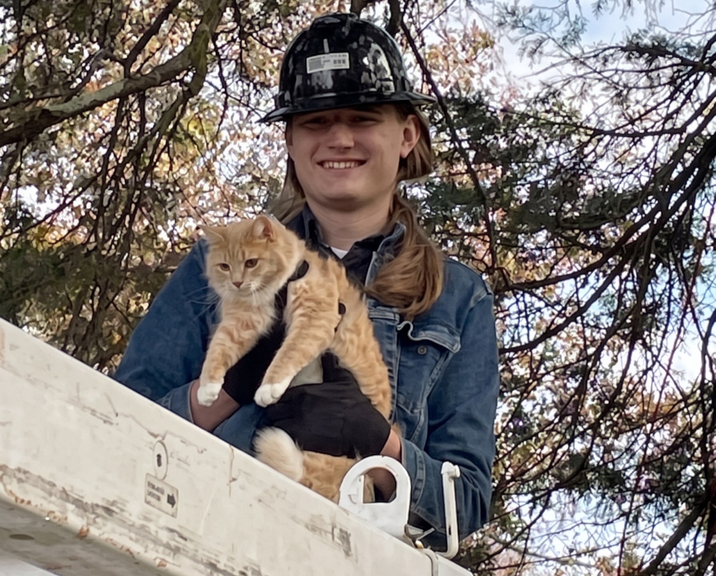 A Lightwave installer in a hard hat holding a rescued orange cat from a bucket truck.